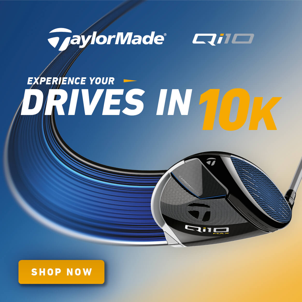 TaylorMade Qi10 Panel