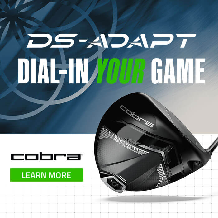 Cobra DS Adapt Banner - Mobile