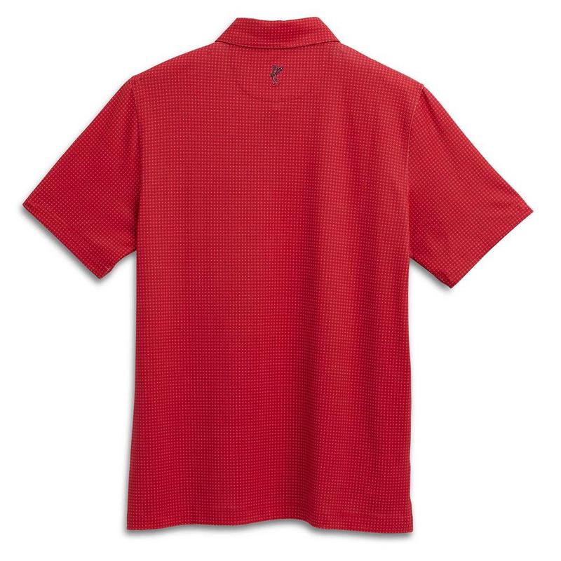 Ashworth Micro Dot Golf Polo - Red - main image